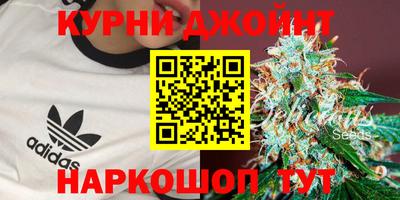 шишки Заводоуковск
