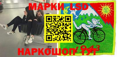 шишки Заводоуковск