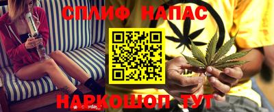 шишки Заводоуковск