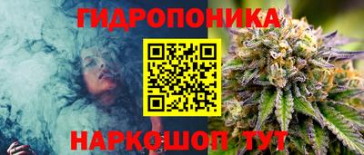 шишки Заводоуковск