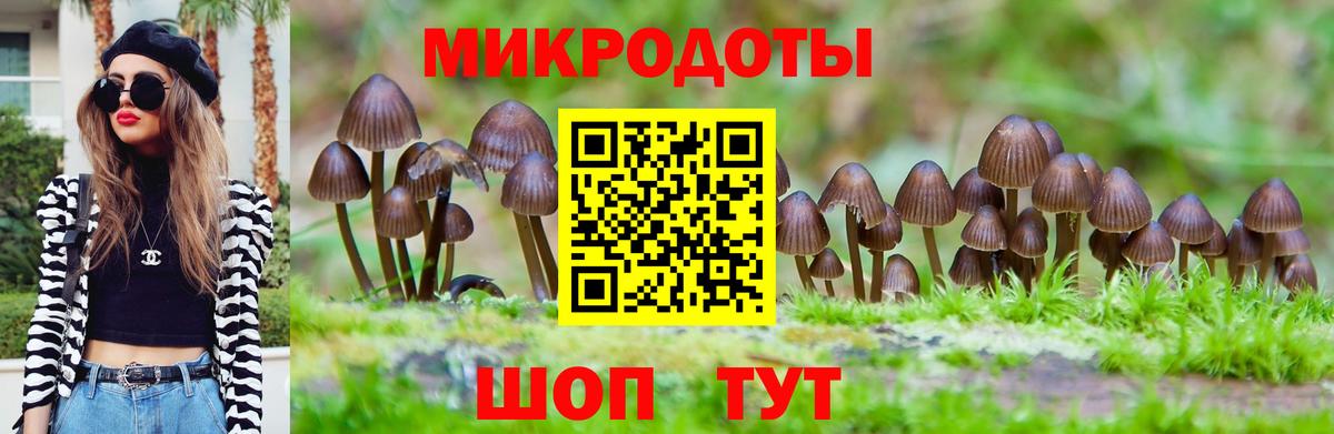Галлюциногенные грибы мухоморы Воркута