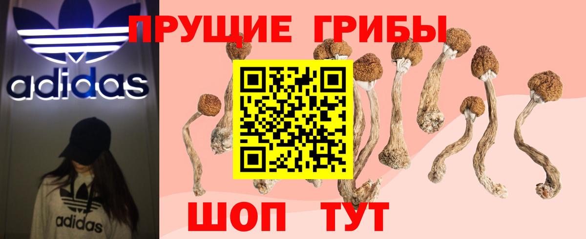 закладка  Псилоцибиновые грибы мухоморы  Псилоцибиновые грибы ЛСД  Вход с VPN  Воркута 